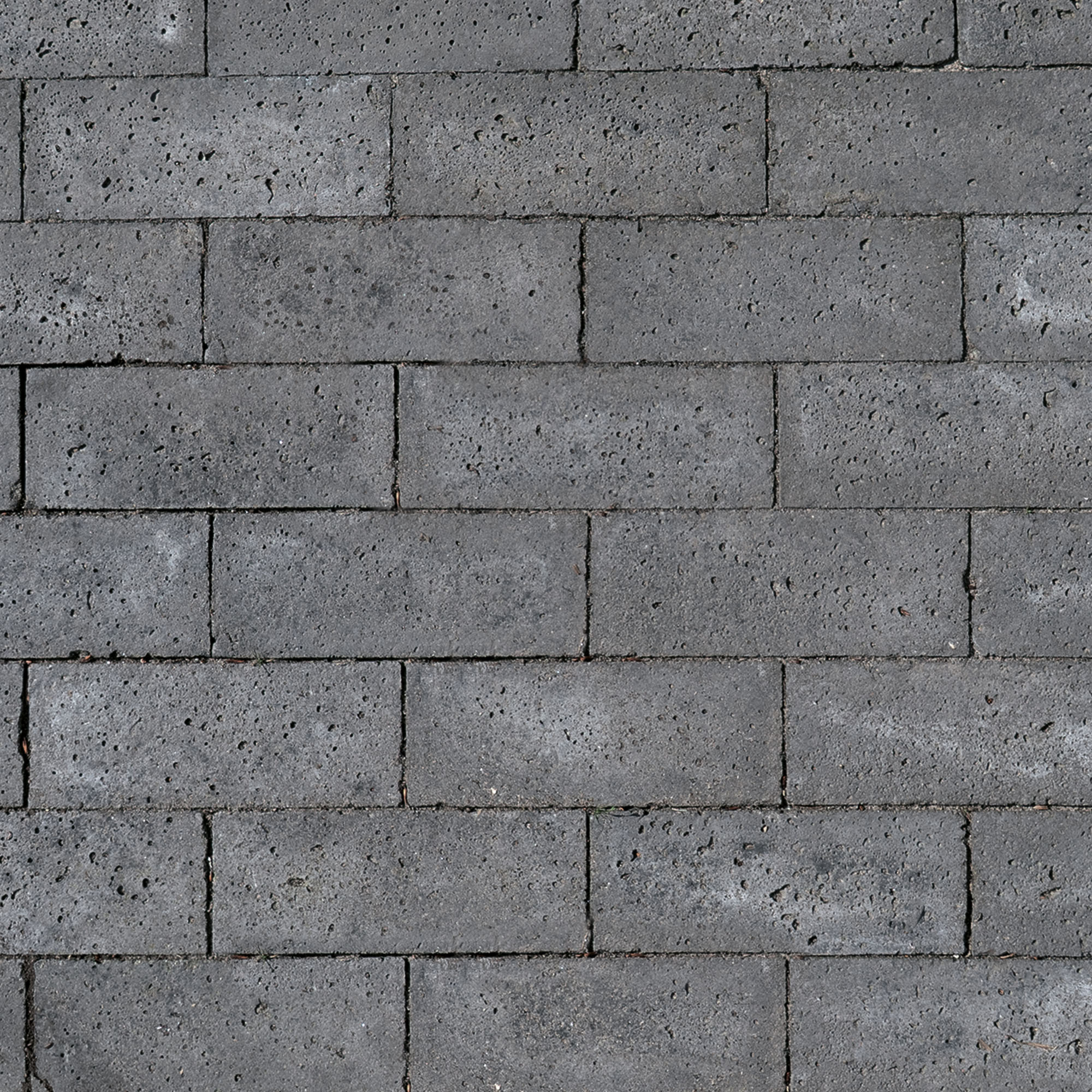 Schellevis Oud Hollandse dikformaat 21x7x8cm Antraciet