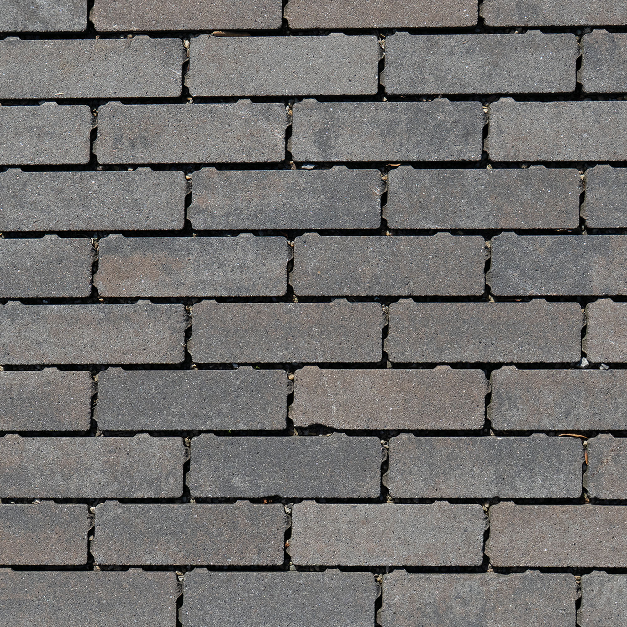 Eco Bricks waterpasserend 7x21x8cm Maeslant Bruin/Zwart