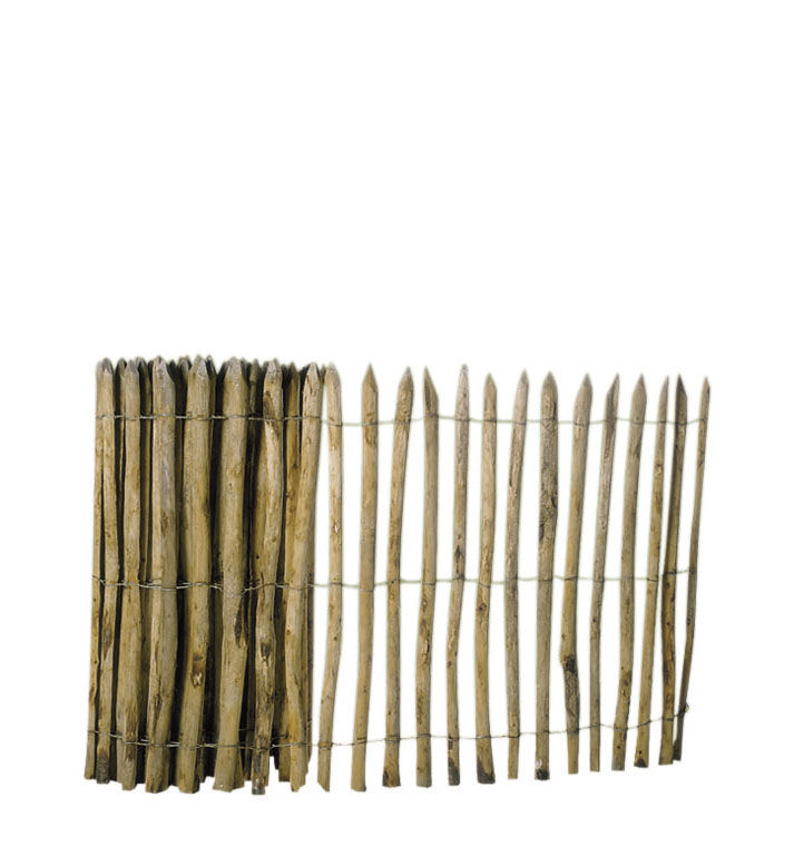 Hazelaarhek 90x500cm (1046047)