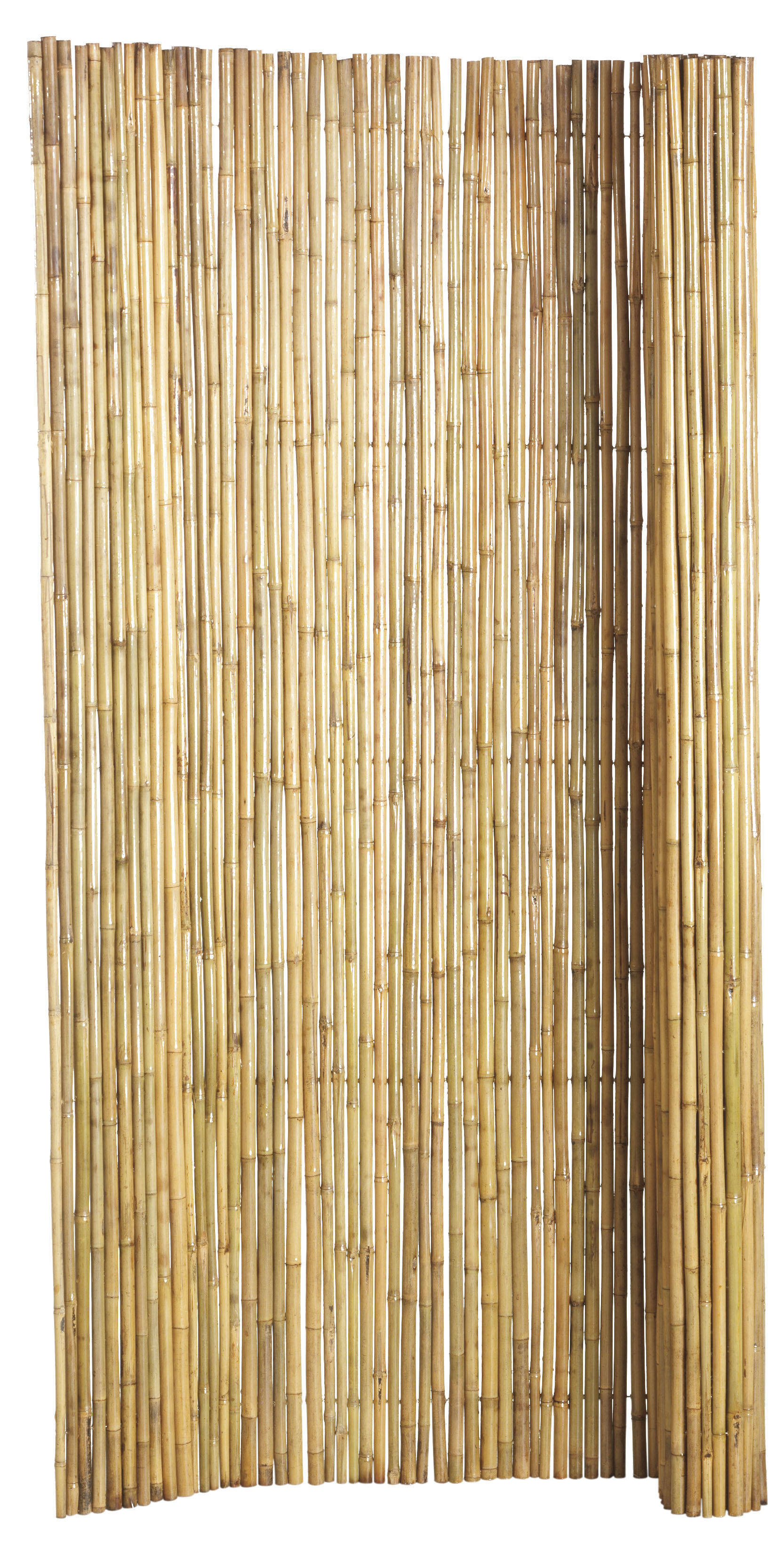 Bamboescherm op rol 180x180cm Gelakt (W17080)