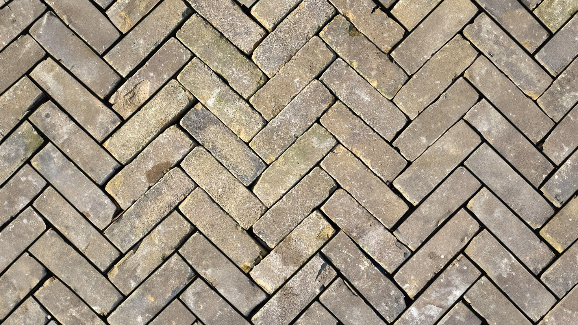 Gebakken dikformaat jong gebruikt Geel (op pallet)