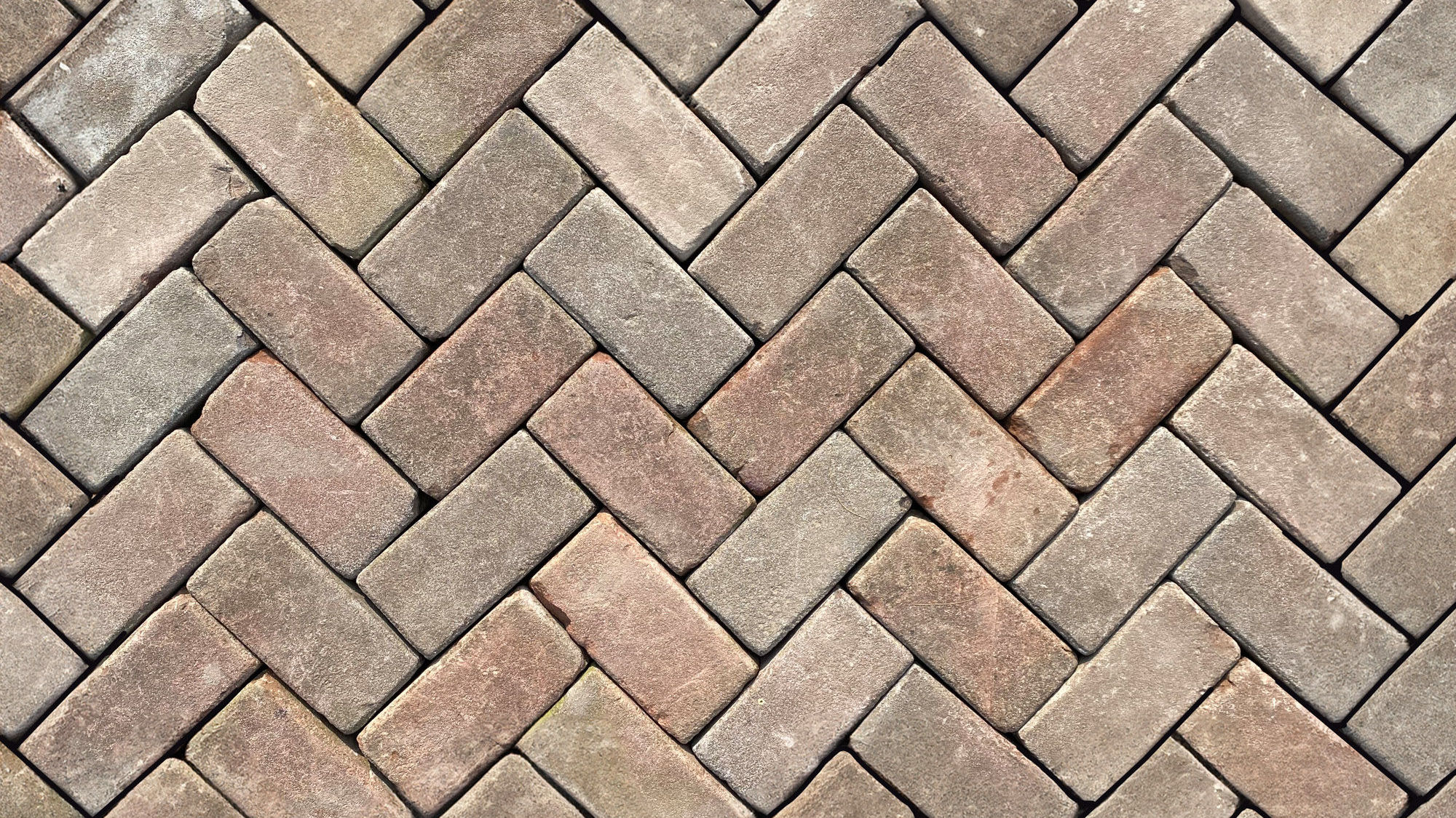 Gebakken keiformaat jong gebruikt Rood/Paars (op pallet)