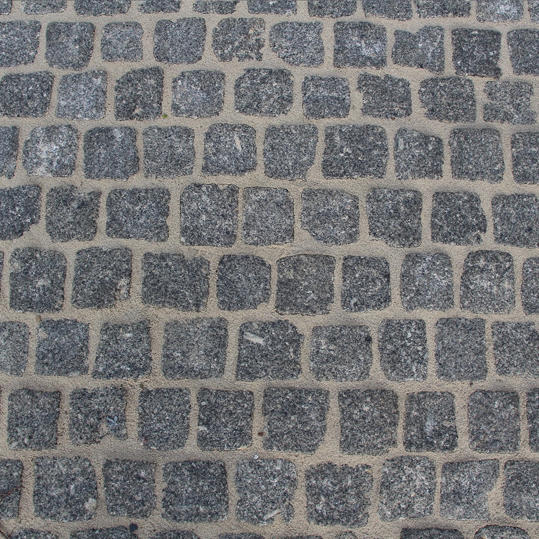Portugees Graniet 8x10cm Steenplaza